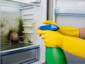 découvrez des conseils pratiques et efficaces pour nettoyer votre frigo, éliminer les mauvaises odeurs et garantir une hygiène parfaite à vos aliments. guide étape par étape pour un réfrigérateur impeccable !